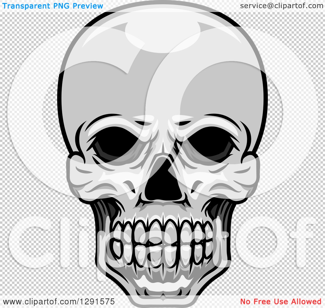 1080x1024 Clipart Of A Grayscale Human Skull