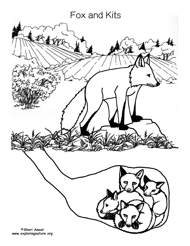 612x792 Fox And Kits In Den Coloring Page