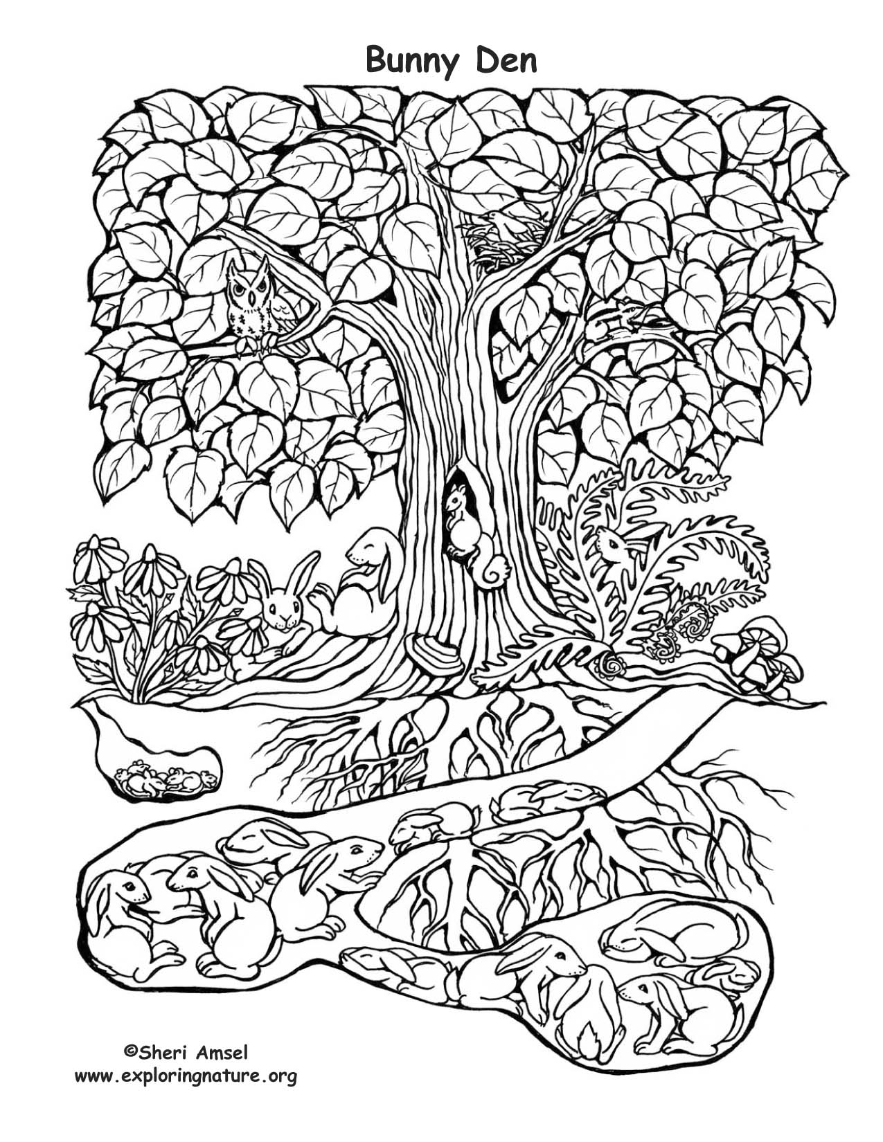 1275x1650 Bunny Den Coloring Page