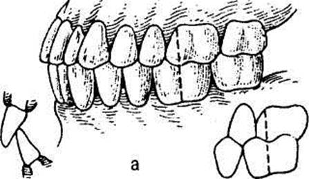 447x260 Image010.jpg