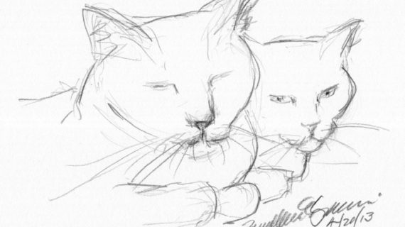 570x320 Pencil Art Of Animals Easy Sketches Depressing Google Search