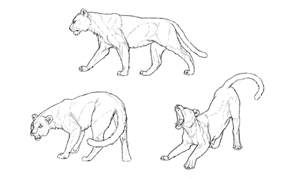 600x366 Think With Forms, Not Lines Take Your Drawing To The Next Level