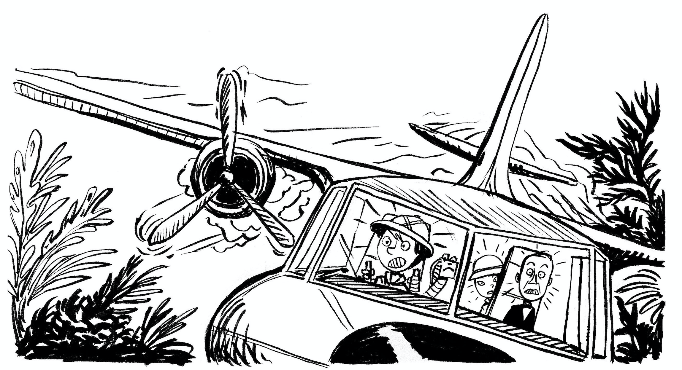 2298x1248 Drawing, Style And Composition