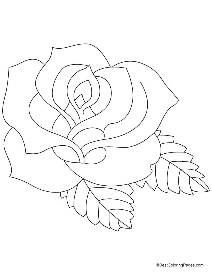 738x954 Ideal Rose Coloring Pages Print Coloring