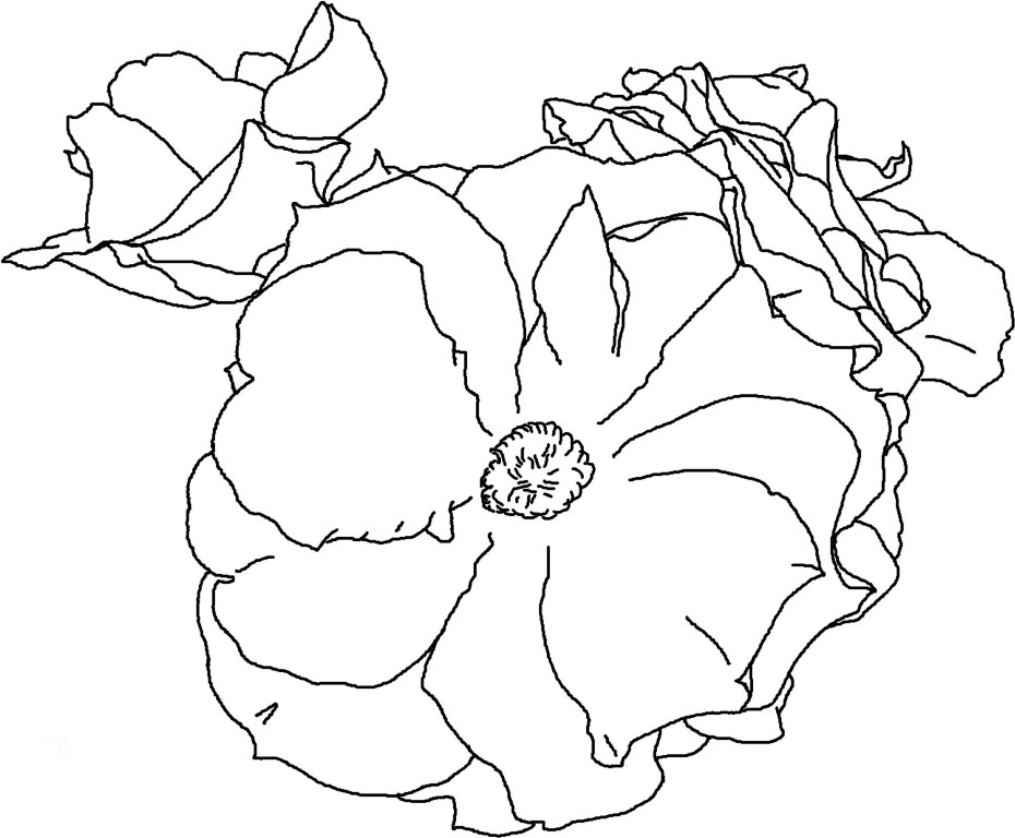 930x768 Printable Rose Coloring Pages For Kids Fitfru Style
