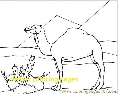 454x360 Desert Coloring Pages With Desert Animals Coloring Page Roxaboxen