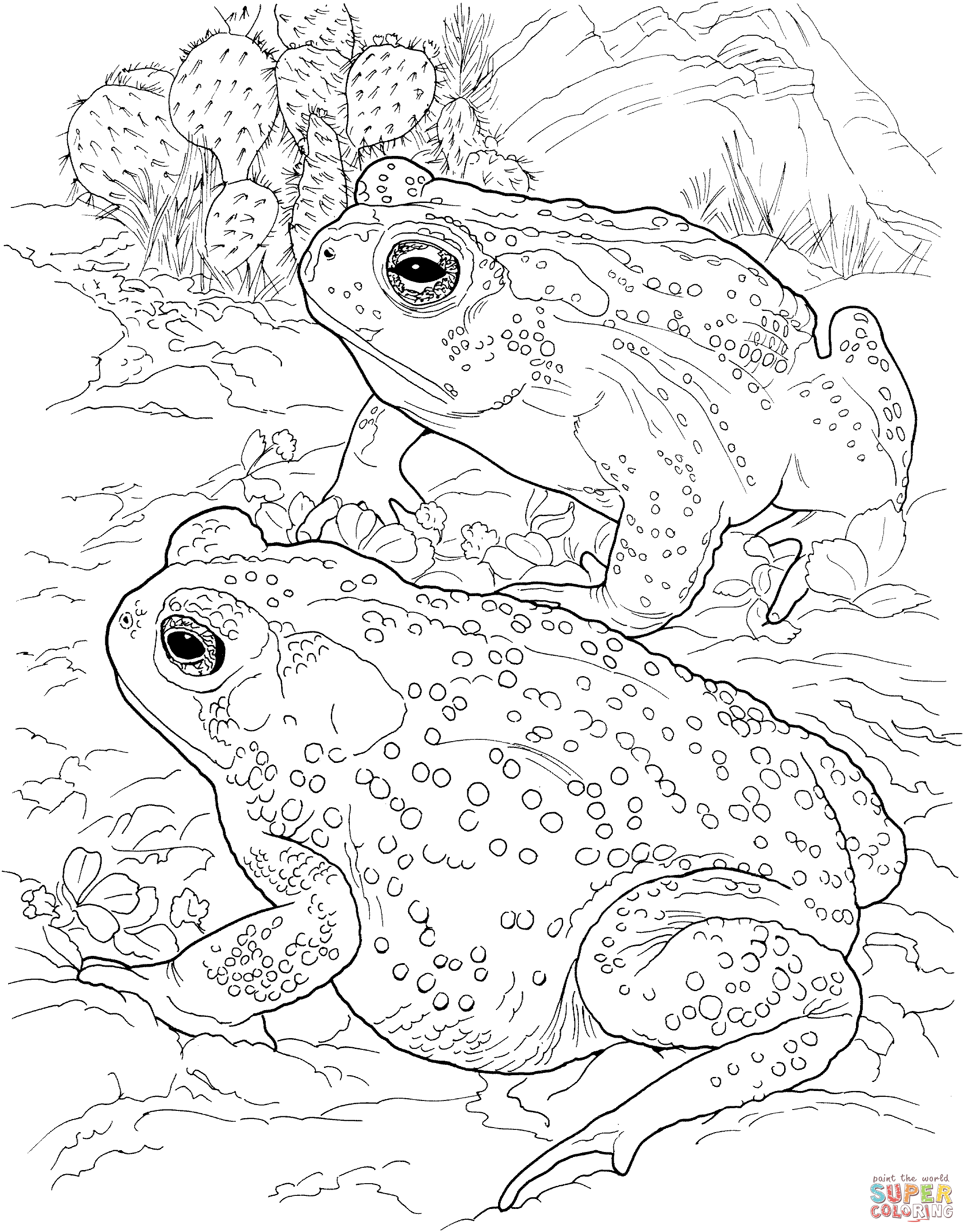 2133x2726 Desert Animals Coloring Pages Free Printable Pictures