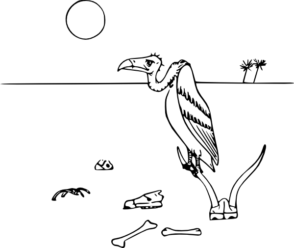 600x505 Vulture Clip Art