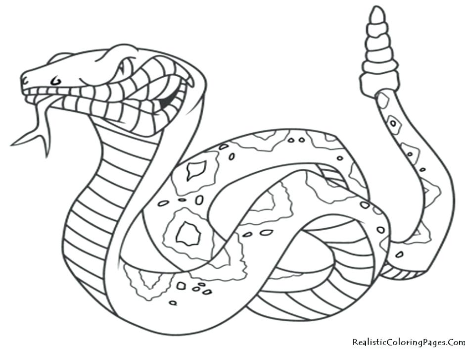 940x705 Anaconda Coloring Pages Desert Animals Coloring Pages Archives