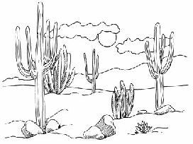 272x204 Drawing Nature And Landscapes How To Draw Nature Outdoors