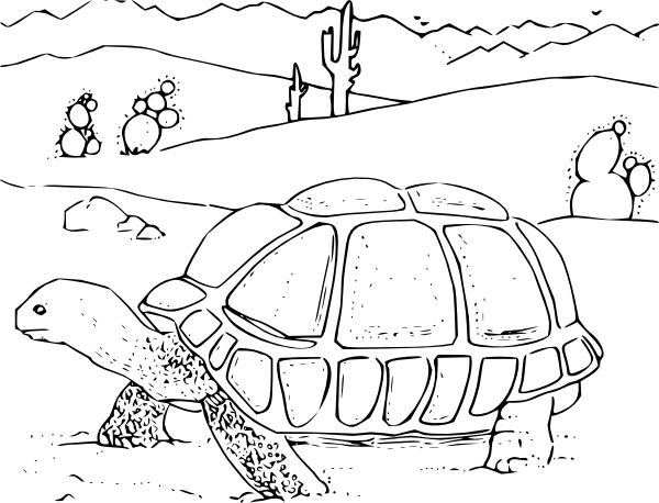 600x458 Coloring Book Desert Tortoise Clip Art Free Vector In Open Office