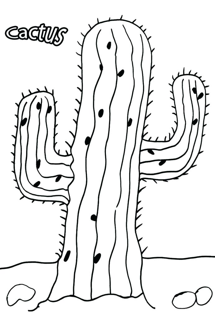 692x1024 Inspirational Cactus Coloring Pages Fee Saguaro Page Printable