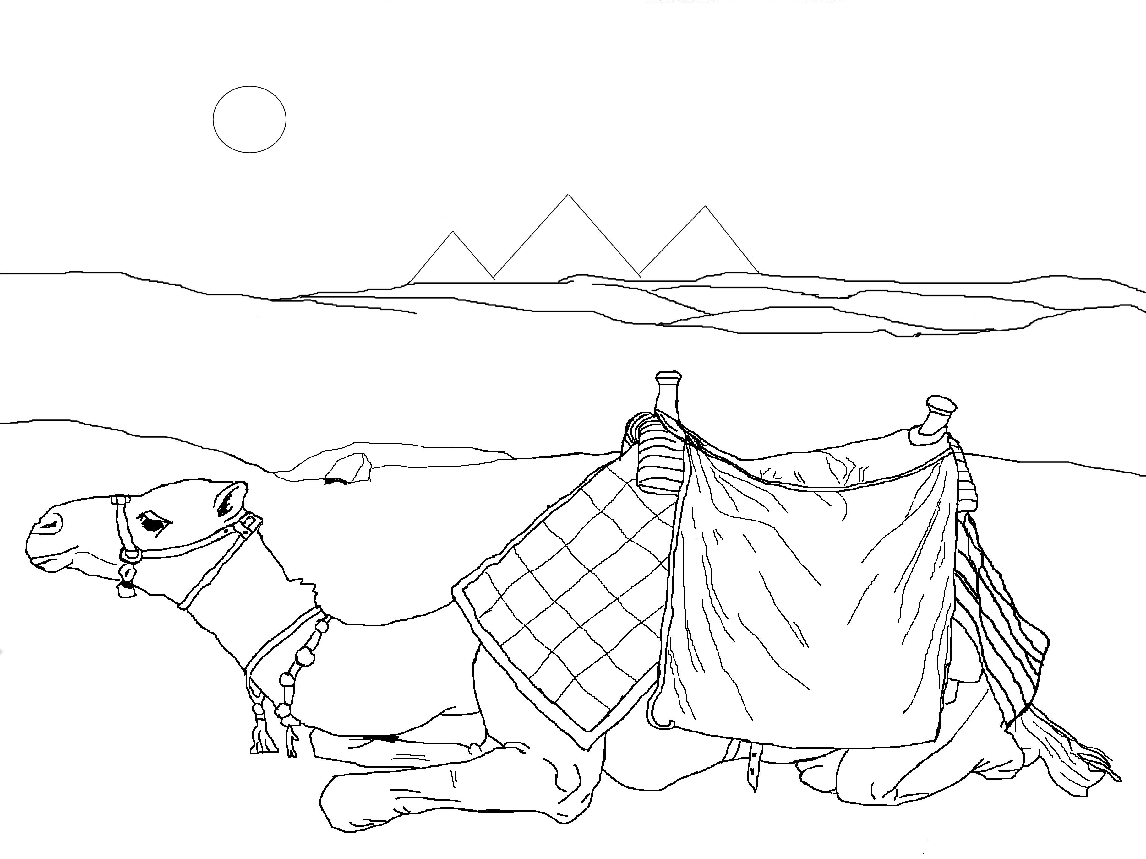 3648x2736 Middle East Desert Scene Coloring Pages Manna In The Desert