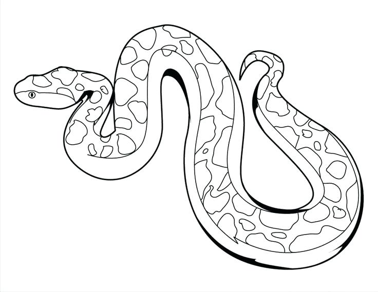 736x569 Reptiles Coloring Pages Desert Lizard Coloring Pages Reptiles