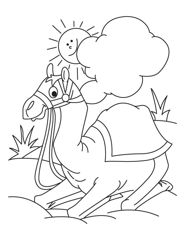 612x792 Camel Sitting In The Desert Coloring Page Download Free Camel