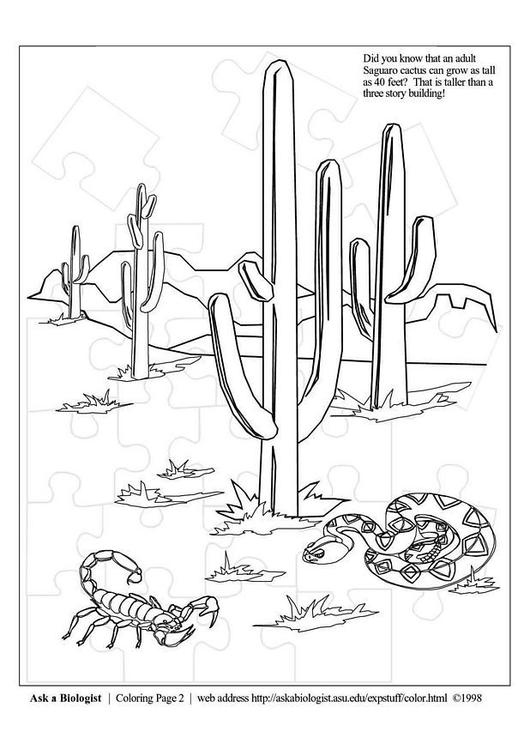 530x750 Coloring Page Desert