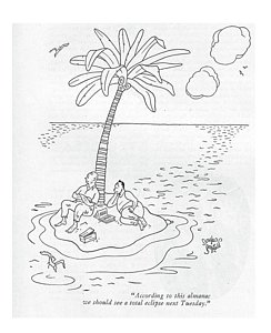 244x300 Desert Island Drawings