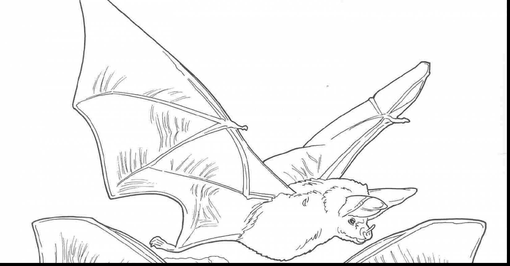 1650x863 Fantastic Desert Eagle Coloring Pages With Desert Coloring Pages