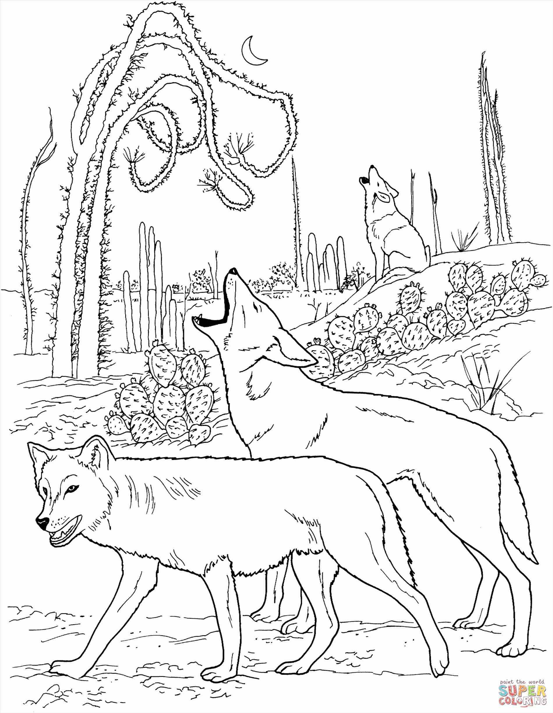 1899x2449 Ideas Keep Lizard Landscape Stock Vector Desert Desert Landscape