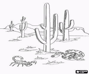 300x250 Natural Landscapes Coloring Pages Printable Games