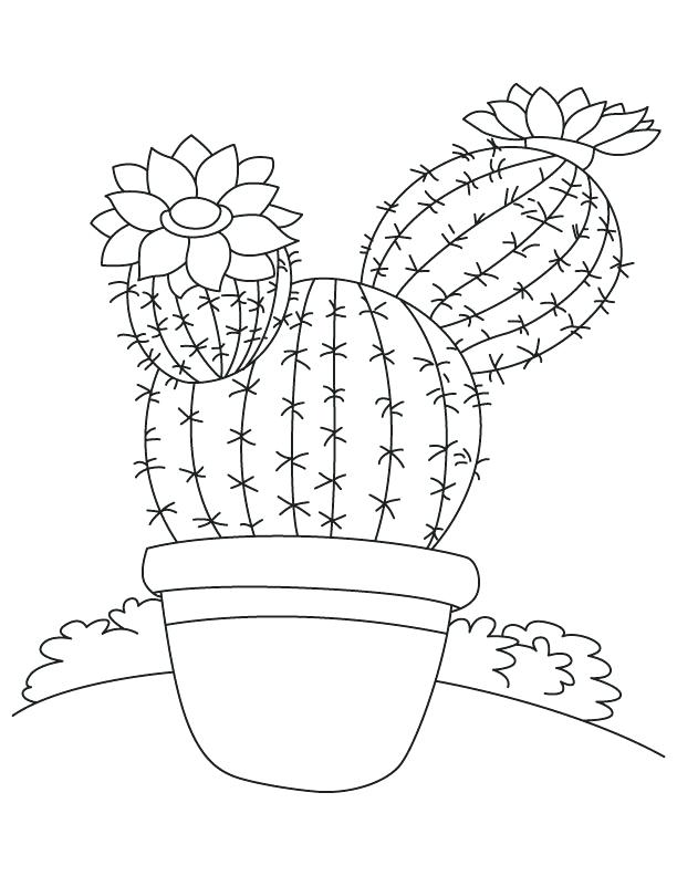 612x792 Complete Cactus Coloring Page Kids Pages Saguaro Second Grade