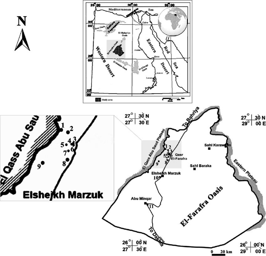 850x819 Location Of The Sampling Sites In El Farafra Oasis (Western Desert,