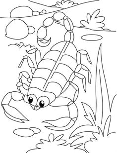 236x310 Armadillo Coloring Page