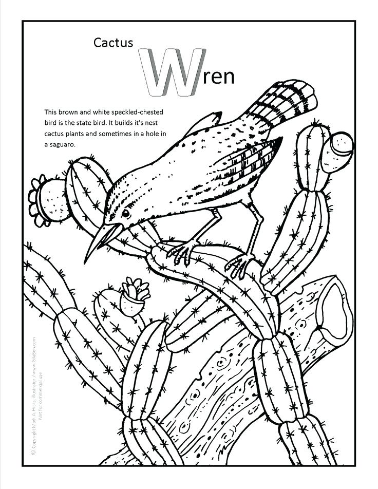 736x952 Desert Coloring Pages Cactus Coloring Page At Desert Animals