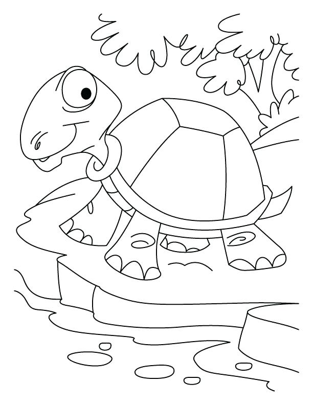 612x792 Desert Coloring Pages Printable Thirsty Tortoise On Download