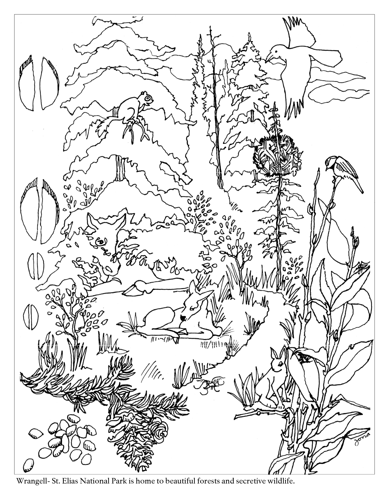 1275x1650 Desert Scene Coloring Page The World's Catalog