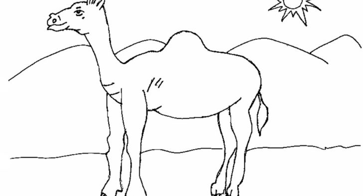 728x393 Desert Scene Coloring Pages Printable Fabulous Desert Animals