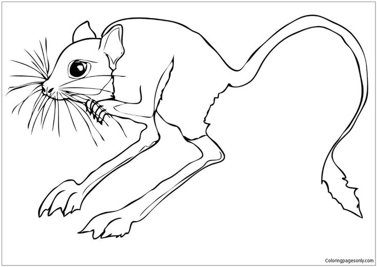 735x521 17 Best Cactus Printables Images On Succulents, Cactus