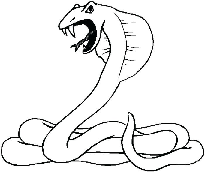 700x586 Desert Animals Coloring Pages Codetracer.co