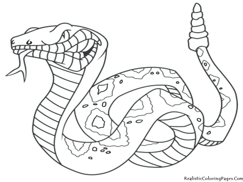 940x705 Desert Coloring Pages Printable Genesisar.co