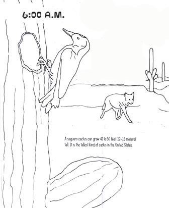 336x412 Coloring Page Desert Scene Coloring Pages For Free