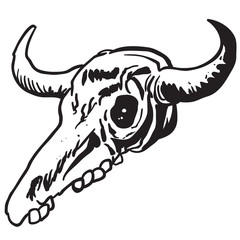 240x240 Cow Skull Photos, Royalty Free Images, Graphics, Vectors Amp Videos