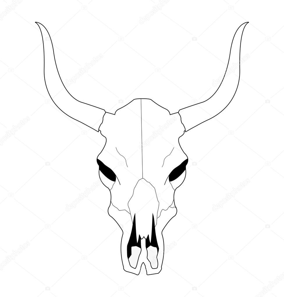 976x1023 Cow Skull With Horns Stock Vector Bsd