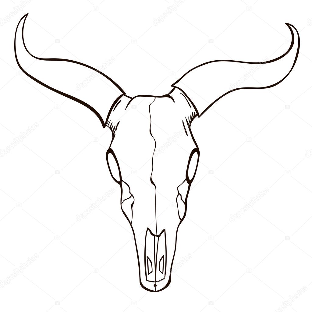 1024x1024 Bull Skull Sketch Stock Vector Blackspring1