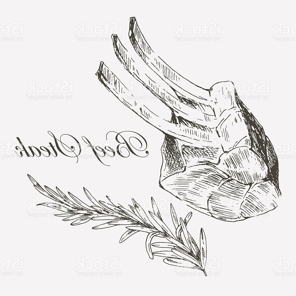 1024x1024 Top 10 Sketch Drawing Top 10 Vector Meat Steak Sketch Drawing