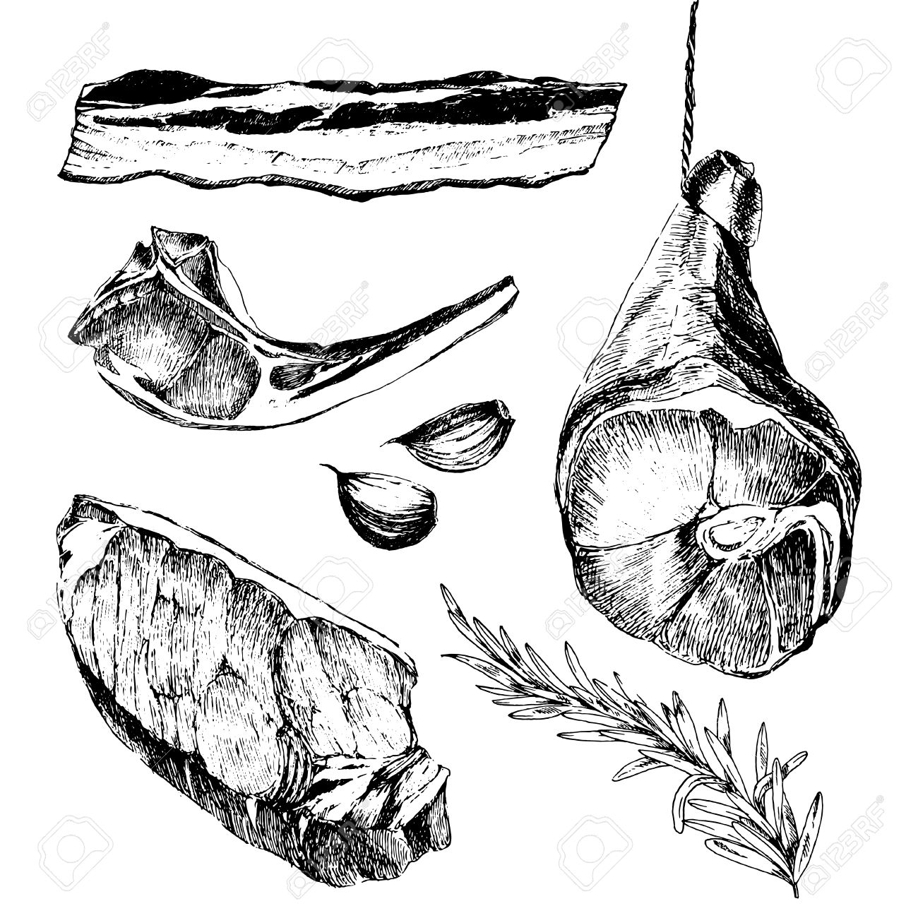 1300x1300 Vector Meat Steak Sketch Drawing Designer Templates. Lamb Rib