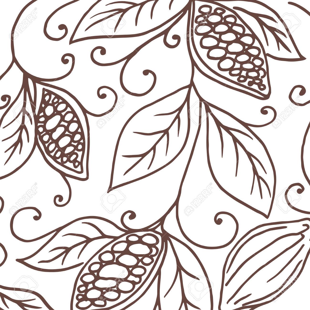 1300x1300 Hand Drawing Background Of Cocoa Beans. Vector Illustration