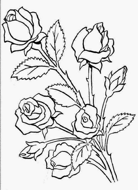 464x640 Flowers Sketches Designs Many Flowers