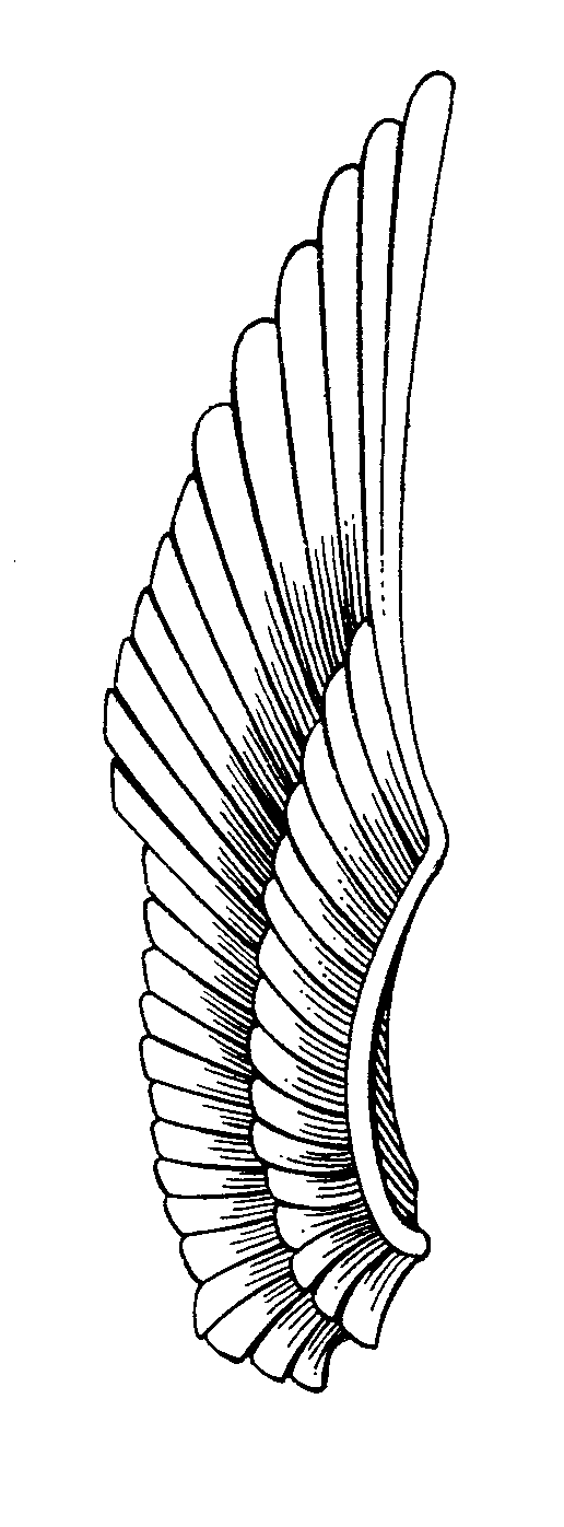 516x1396 To Download Click On The Picture To Get A Full Size Image. Right