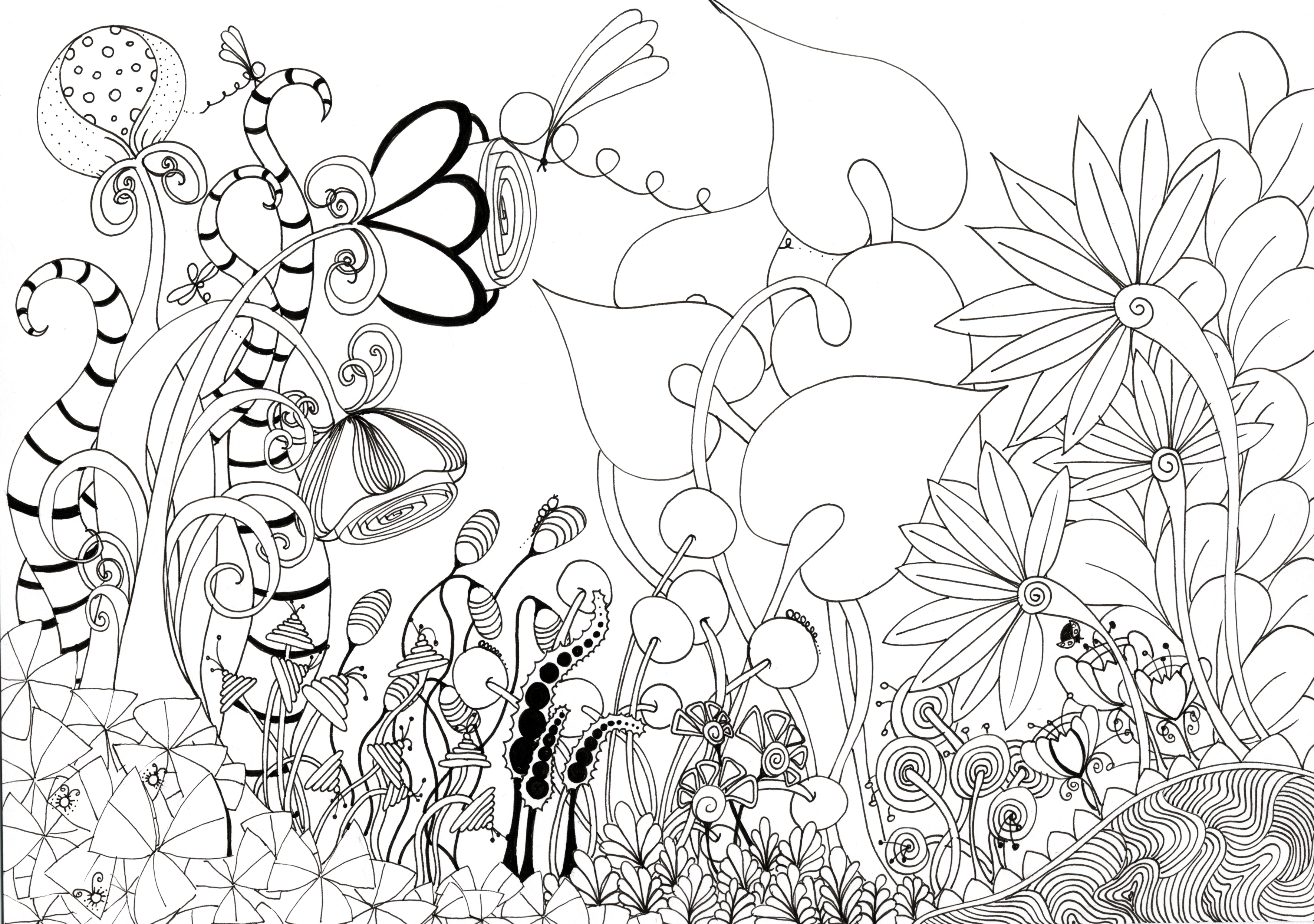 3543x2491 Best Flower Garden Drawing For With Home ~ Garden Trends