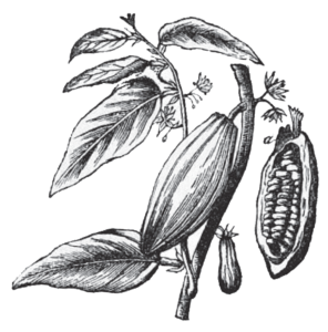 296x300 Dessert 315 Restaurant Amp Wine Bar