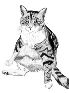 236x314 Custom Pet Portrait Your Pet Furry Family By Travelingarrow