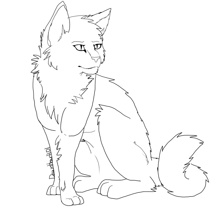 894x894 Free Semi Realism Cat Lineart By Dawnheart101