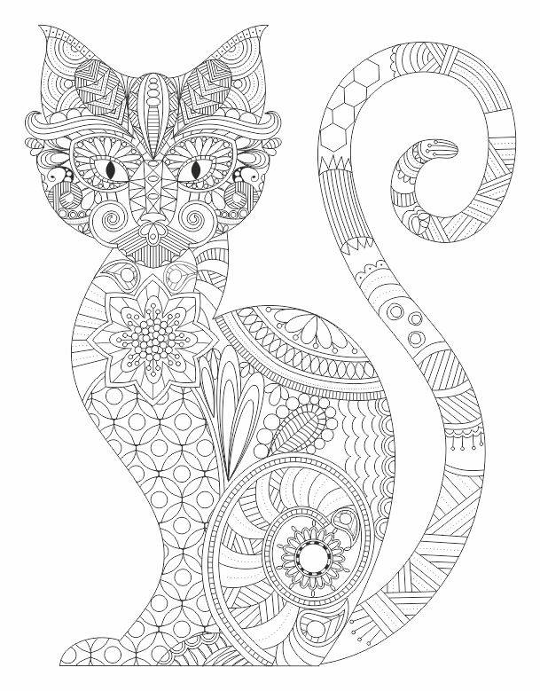 609x779 Cat Entangle Coloring Pages Colouring Adult Detailed Advanced
