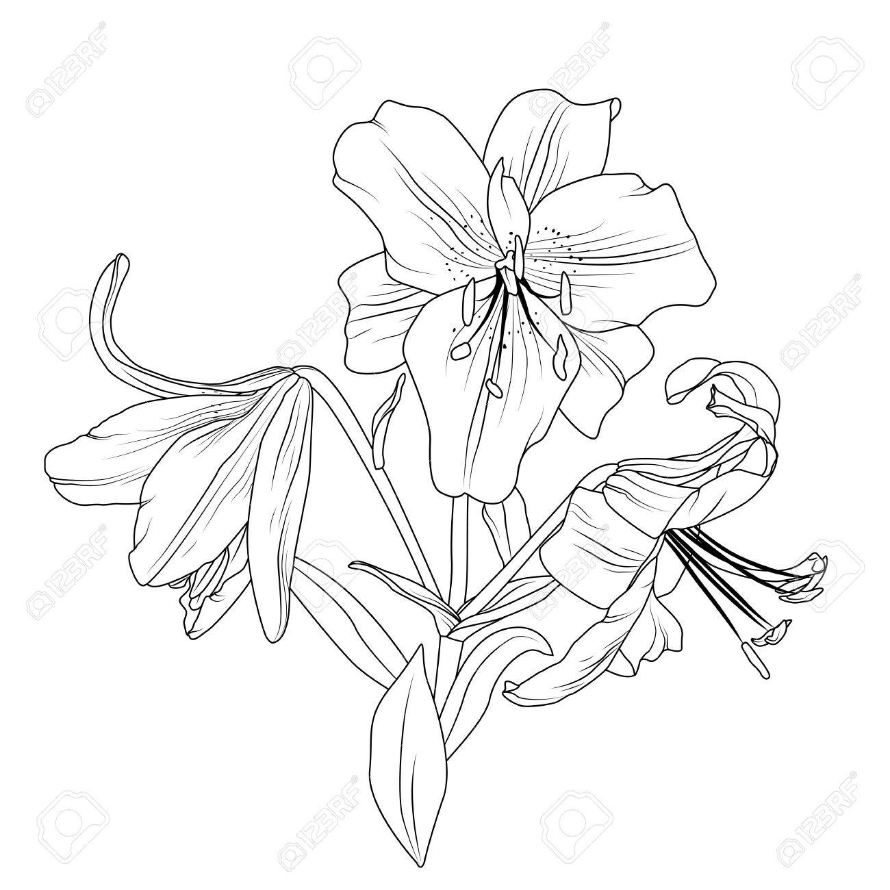 1300x1300 Beautiful Blooming Lily Spring Flowers Bouquet Composition