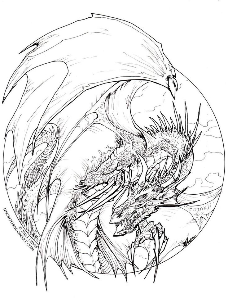 Detailed Dragon Drawing